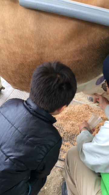 56F7C62B-6AB0-4A91-BADC-A447053A55E2.jpg